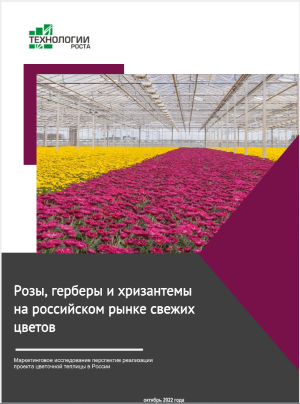 Розы, герберы и хризантемы на российском рынке свежих цветов для букетов